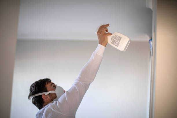 Best Emergency Mold Remediation in Montague, MI